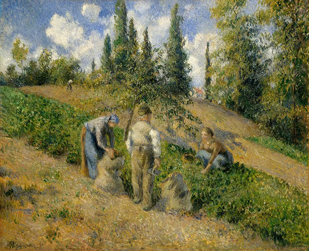 The Harvest, Pontoise Camille Pissarro